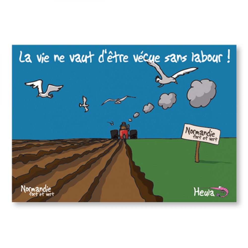 CARTE POSTALE - SANS LABOUR