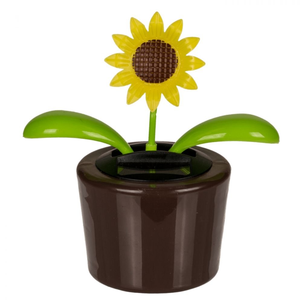 FLEURS SOLAIRES - MODELE ALEATOIRE – Image 3