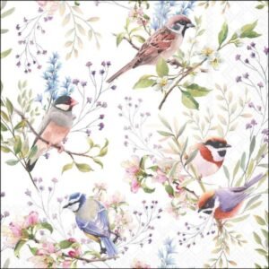 20 SERVIETTES 33X33 - OISEAUX