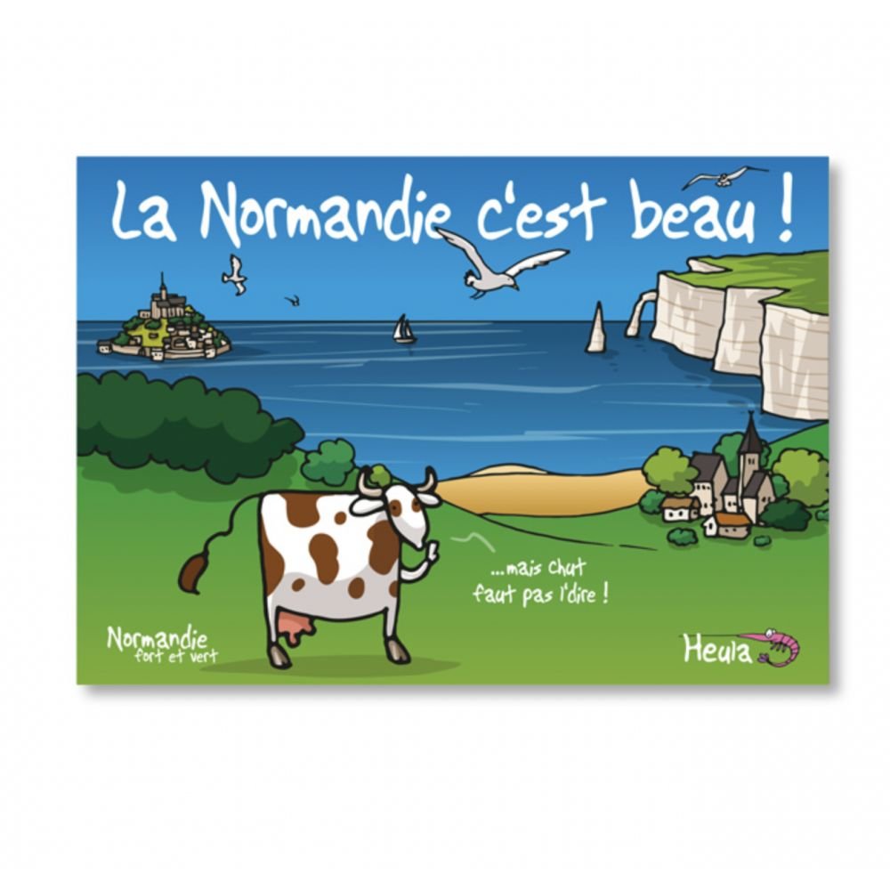 CARTE POSTALE - CHUT