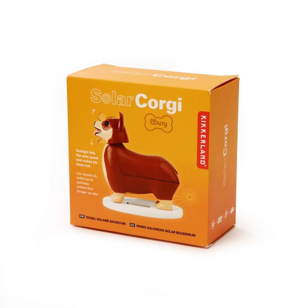 Elroy le corgi solaire royal