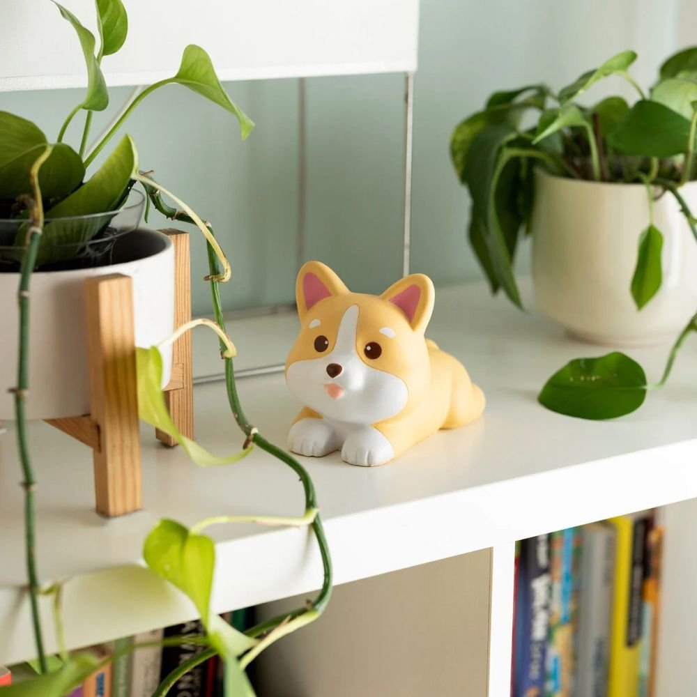 BALLE ANTI-STRESS - CORGI – Image 3