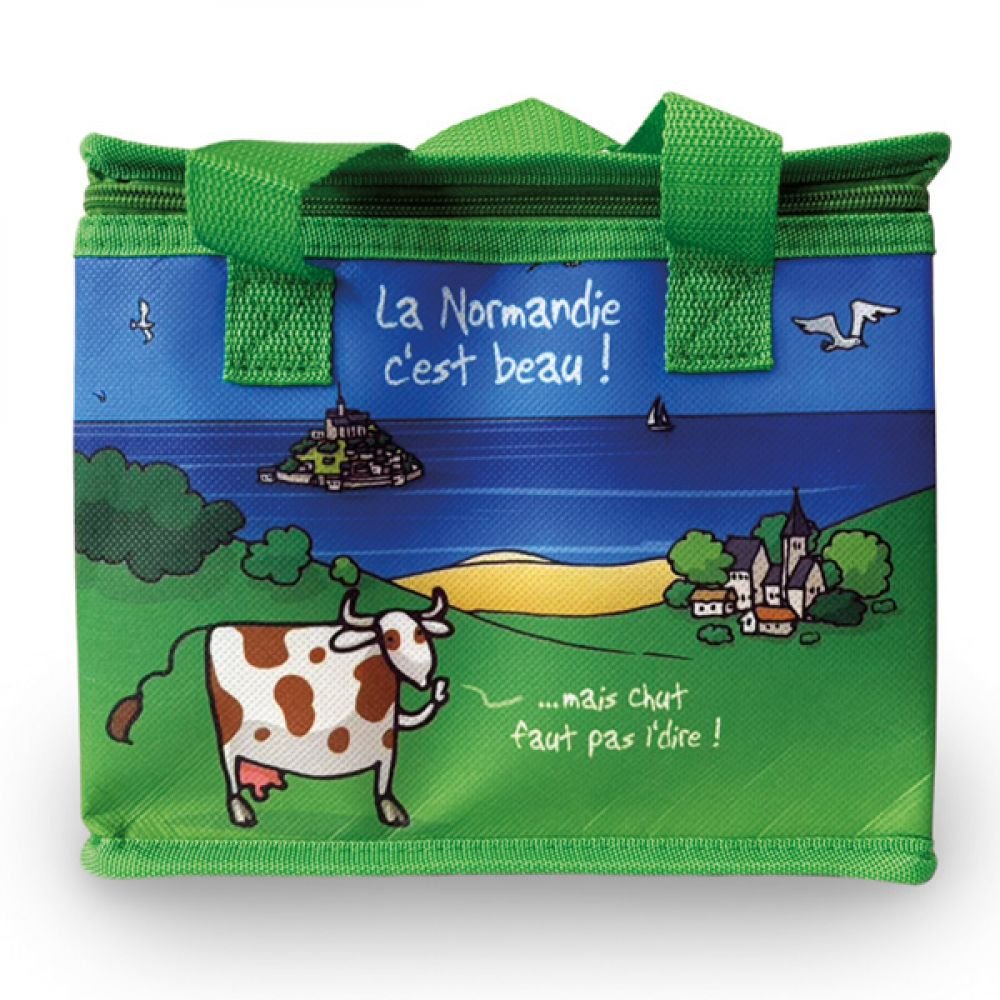 SAC GLACIERE - CHUT