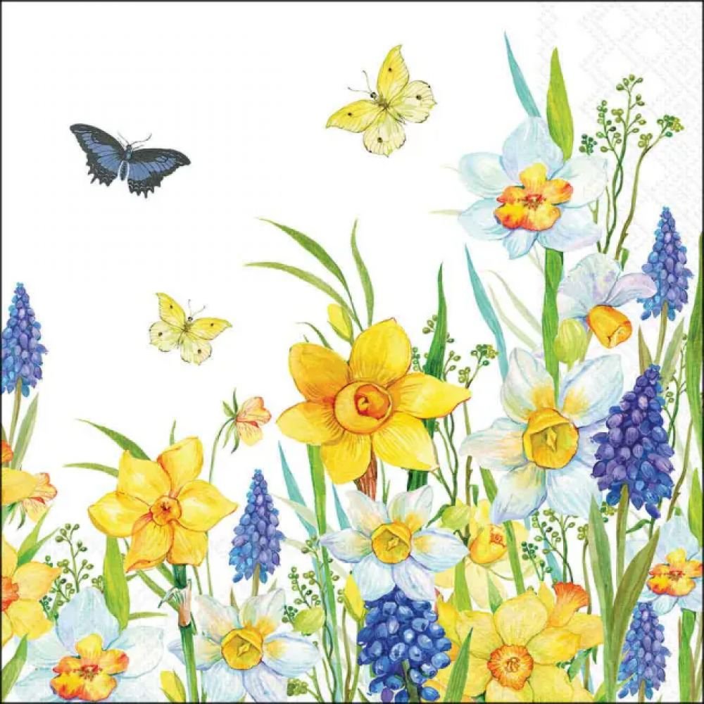 20 SERVIETTES 33X33 - JONQUILLES