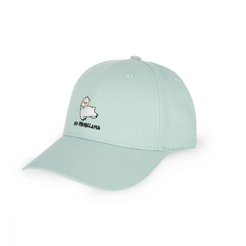 CASQUETTE BLEU VERT LAMA - LEGAMI – Image 2