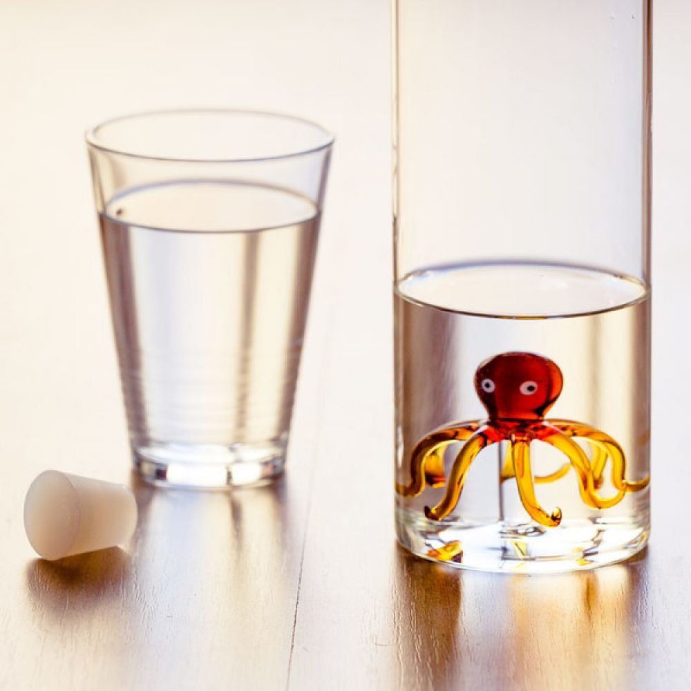 BOUTEILLE 1,2L - PIEUVRE – Image 2