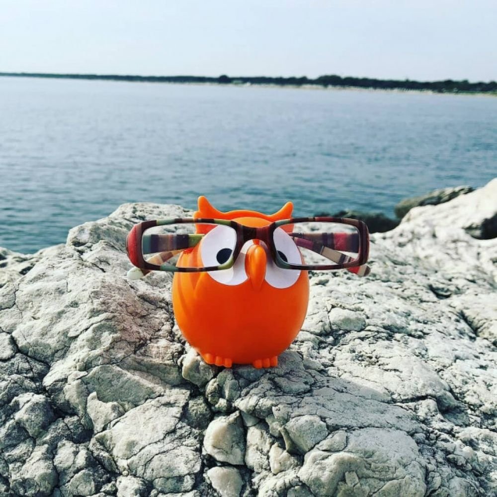 REPOSE LUNETTES HIBOU - ORANGE - OWL – Image 3