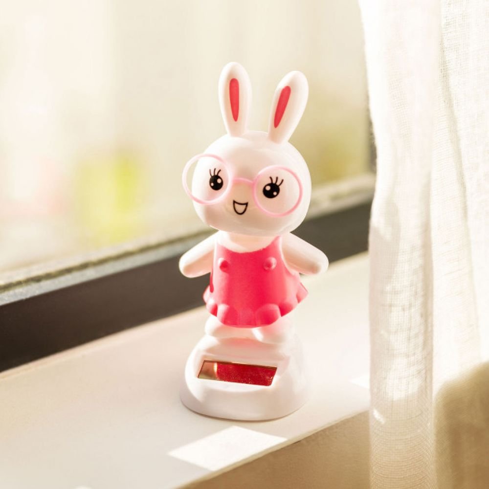 LAPIN SOLAIRE – Image 2
