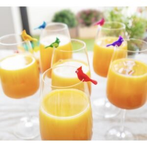 APERUCHE - SET DE 6 MARQUEURS DE VERRES BIRDS - MULTICOLOR