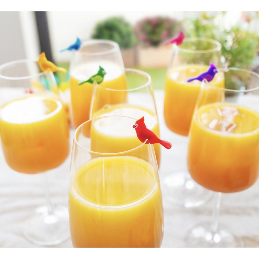 APERUCHE - SET DE 6 MARQUEURS DE VERRES BIRDS - MULTICOLOR
