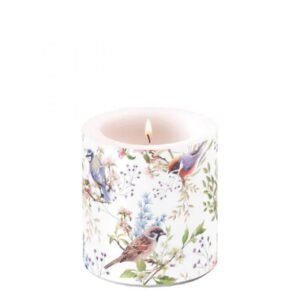 BOUGIE PM - OISEAUX