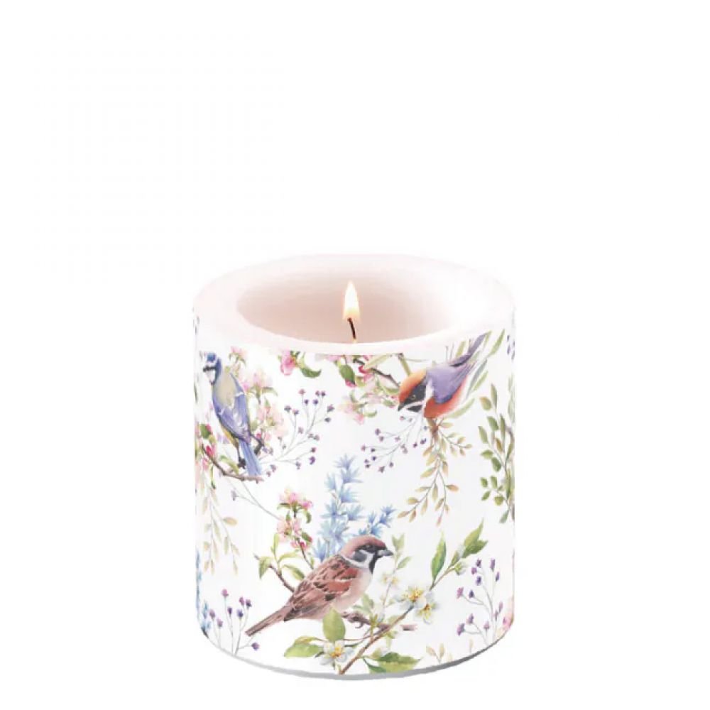 BOUGIE PM - OISEAUX